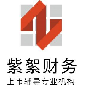 上海財務(wù)咨詢公司